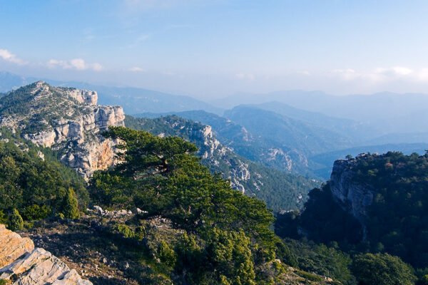 IC---turismo-naturaleza-titenaa-2