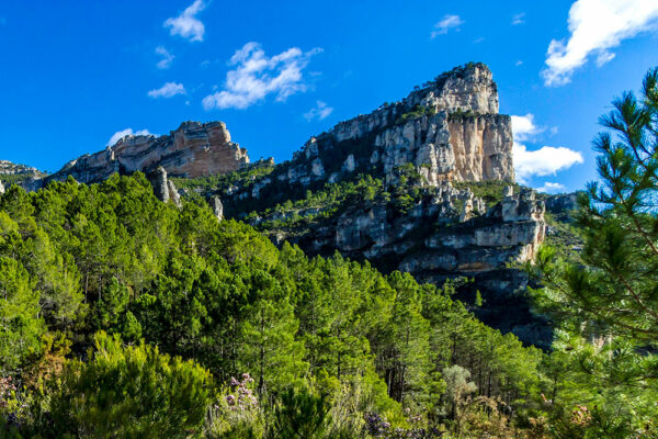 IC---turismo-naturaleza-titenaa-3